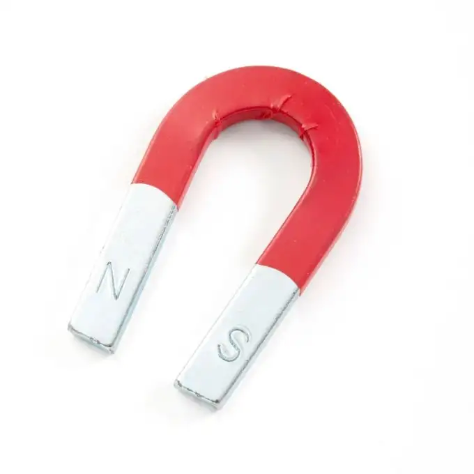 Ferro di cavallo magnetico