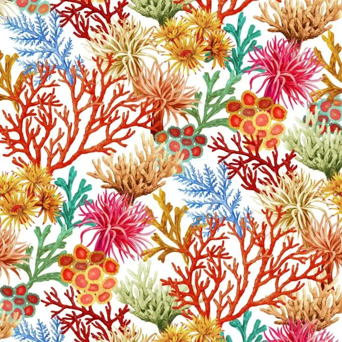 Asciugamano Caledonia bianco 50x70cm