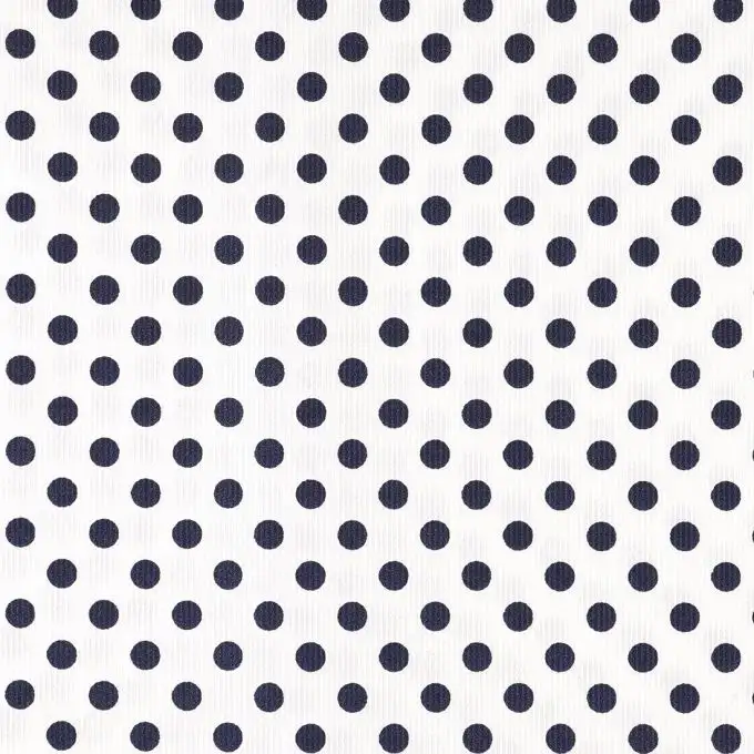 Ancotex stampa pois blu