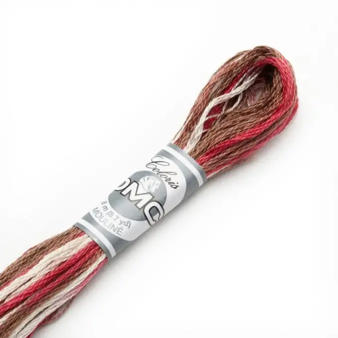 Filato mouliné Variation da ricamare marrone e rosso COL 4516